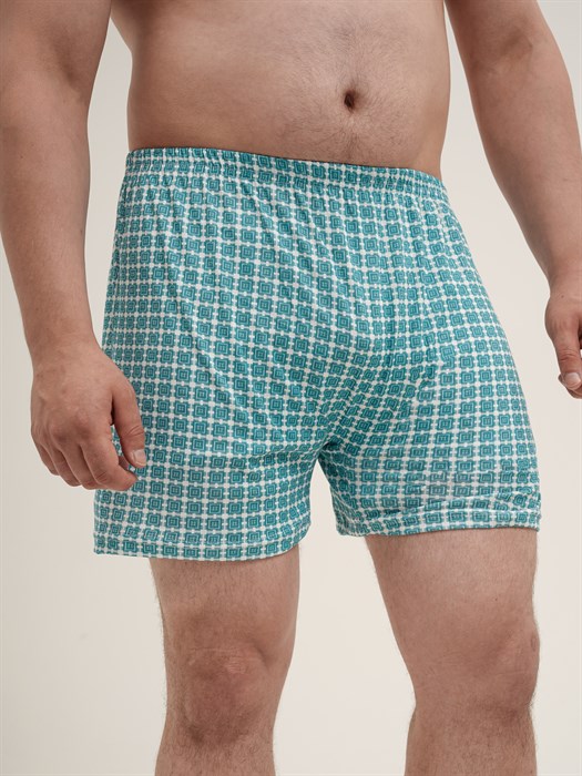 Трусы мужские АМТЕКС, семейные, хлопок (хб - 100%), свободные, великан - фото 778736