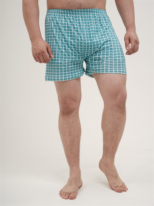 Трусы мужские АМТЕКС, семейные, хлопок (хб - 100%), свободные, великан - фото 778741