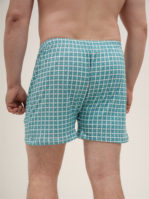 Трусы мужские АМТЕКС, семейные, хлопок (хб - 100%), свободные - фото 778749