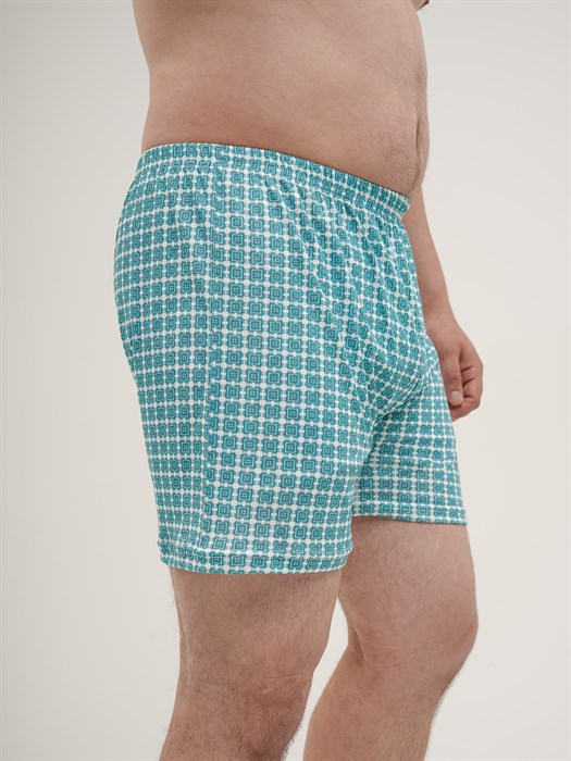 Трусы мужские АМТЕКС, семейные, хлопок (хб - 100%), свободные - фото 778751