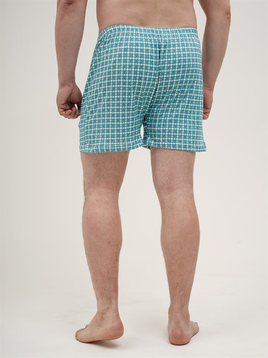 Трусы мужские АМТЕКС, семейные, хлопок (хб - 100%), свободные - фото 778753