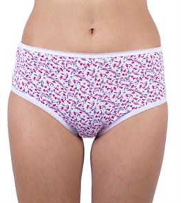 257ХР 1112 Трусы женские КРАСНАЯ ВЕТКА, слипы, хлопок, высокие, с рисунком