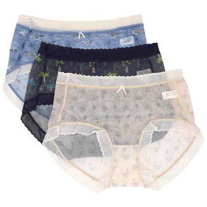 3668 Трусы женские FIELLA, слипы, полиамид, сетка