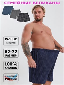 Трусы мужские АМТЕКС, семейные, хлопок (хб - 100%), свободные, великан