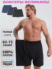 Трусы мужские АМТЕКС, боксеры со вставкой, хлопок (хб - 100%), великан