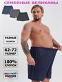 Трусы мужские АМТЕКС, семейные, хлопок (хб - 100%), свободные, великан - фото 787274